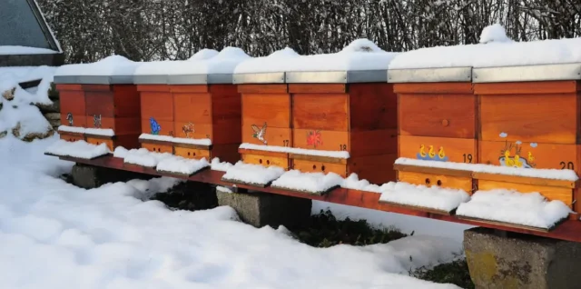 isolants ruche hiver